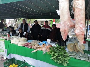 Ferias de la agricultura familiar animan a pequeños productores a generar ingresos propios en la lucha contra la pobreza – La Mira Digital
