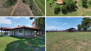 Senabico subasta inmueble en G. 8.200 millones y logra récord