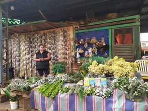 Plantas medicinales, aliadas de los paraguayos