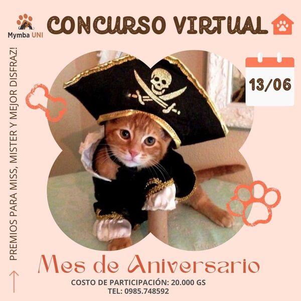 Es el momento de tu mascota, Mymba UNI impulsa concurso virtual