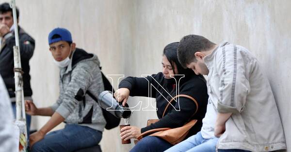 La Nación / Mate, yuyos y consumo de agua hervida: controversia sobre el riesgo de aumento del cáncer