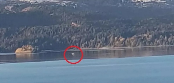 Diario HOY | Video: vecinos afirman que reapareció Nahuelito, monstruo marino de Bariloche
