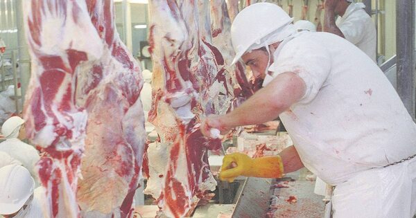 La Nación / Se registró la faena más alta del año