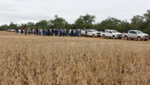 Circuito de conocimiento en el Chaco