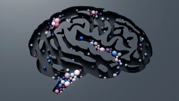 Diario HOY | Cómo responde el cerebro a eventos inesperados, según científicos del MIT