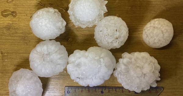 La Nación / Tormentas en Francia dejan un muerto, 15 heridos y 15.000 hogares sin luz
