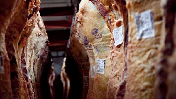 Desaceleración de la demanda china afecta exportaciones argentinas de carne - El Independiente