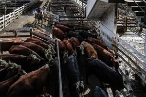 La desaceleración de la demanda china afecta exportaciones argentinas de carne - MarketData