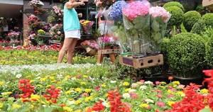 La Nación / Invitan a taller online sobre jardines sustentables por el Día del Medio Ambiente