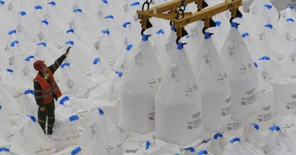 La Nación / “Improvisar con fertilizantes es un juego peligroso”, según la UGP