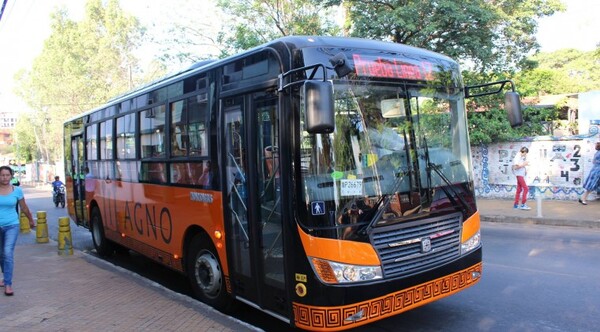 Diario HOY | Dos empresas de transporte cubren itinerario de la línea 20 desde hoy