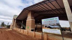 Inauguran moderno secadero de yerba mate en Itapúa