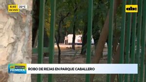 Arrancan al menos 100 barrotes de la reja del Parque Caballero - ABC Noticias - ABC Color