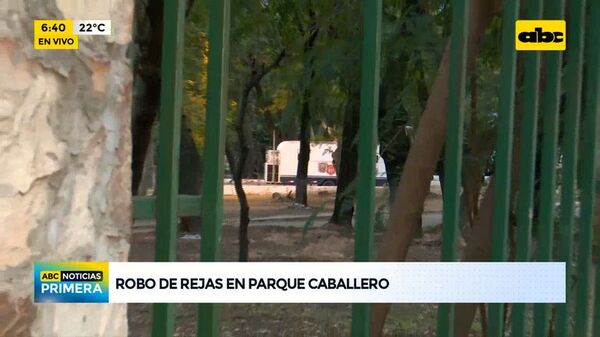 Arrancan al menos 100 barrotes de la reja del Parque Caballero - ABC Noticias - ABC Color