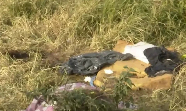 Argentina: Un perro encontró una cabeza humana en un baldío de las afueras de la ciudad - OviedoPress
