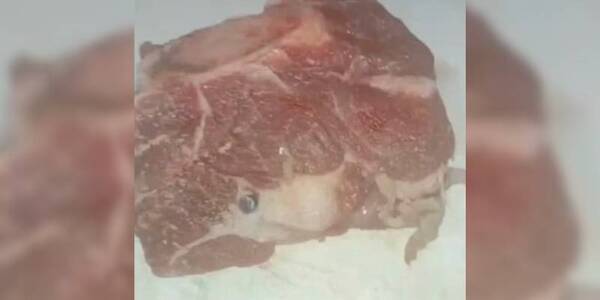 Crónica / No era “carne de cañón”, pero sí un corte ¡que vino con bala y todo!