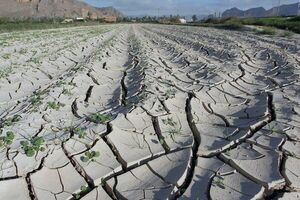 Aumentan un 800 % los fondos solicitados para emergencias climáticas extremas - Mundo - ABC Color