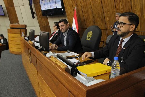 En Diputados traban instalación de comisión que investigará lavado de dinero - Política - ABC Color