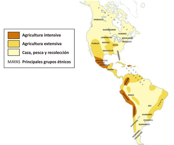 La distribución de los primeros grupos humanos en América - Escolar - ABC Color