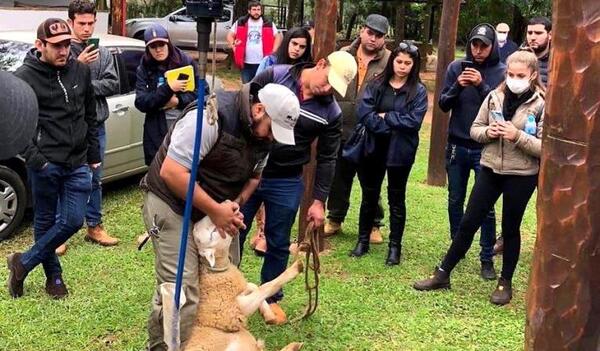 Jornada Ovina en el Guairá fue exitosa y muy productiva