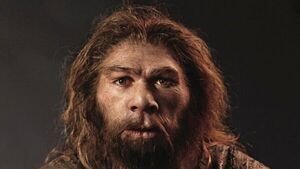 Homo sapiens ya mostró gusto por el pescado hace 15.000 años