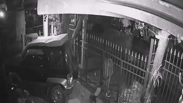 Hombre hirió gravemente con un cuchillo a una perrita en Asunción