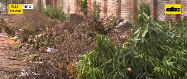 Calle vecinal convertida en “vertedero” clandestino - Nacionales - ABC Color