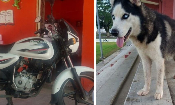 Hombre ofrece su moto de recompensa por su perro extraviado y lo ayudan a encontrarlo - OviedoPress