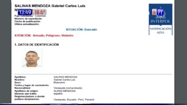 Sexto implicado por caso Pecci es buscado por la Interpol | Noticias Paraguay
