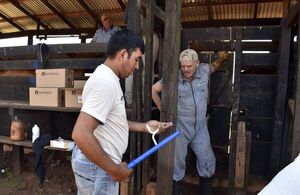Paraguay debe acortar ciclos productivos en ganadería bovina - Economía - ABC Color