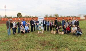 Alumnos de FIA-UNE plantan 1.200 árboles de especies nativas en plazas y escuelas de Minga – Diario TNPRESS