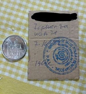Vergonzoso “certificado” de vacunación en Luque  - Nacionales - ABC Color