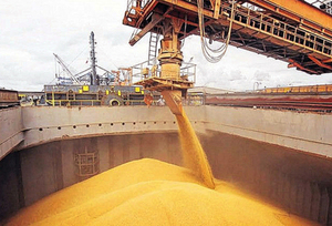 Rusia y Ucrania buscan fórmulas para destrabar la exportación de granos - ADN Digital