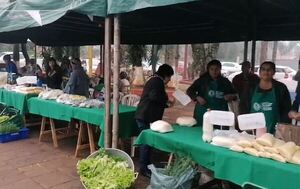 Feria de la agricultura familiar se desarrolla en Hernandarias - La Clave