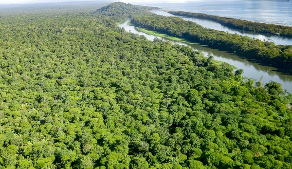 Costa Rica, Colombia y Ecuador consideran irreversible su "apuesta verde" - MarketData