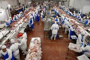 A fin de año comenzará en Yby Yaú la obra del frigorífico más moderno de Sudamérica