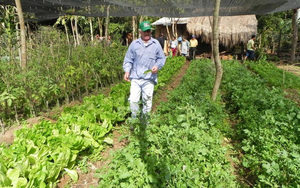 Diario HOY | Censo Agropecuario aportará datos relevantes para la economía nacional