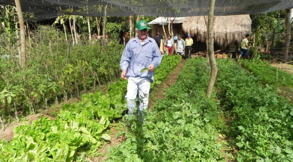 Censo Agropecuario aportará datos relevantes para la economía nacional