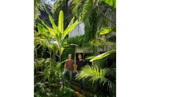 Upgreen: la empresa que logró montar el jardín vertical residencial más grande del país
