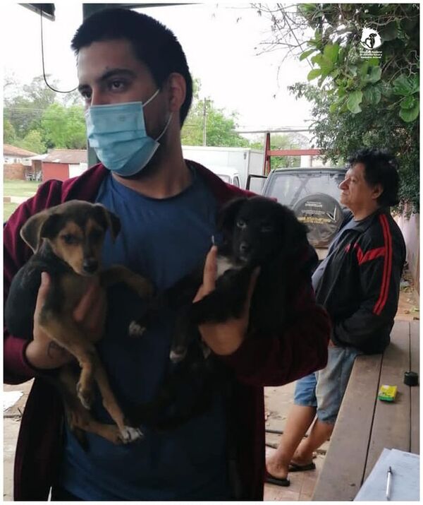 Hombre recibe multa de más de G. 8 millones por maltrato animal - Mascotas - ABC Color