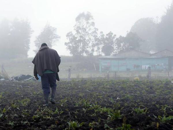 Trigo, maíz zafriña y cultivos hortícolas en general podrían afectarse con heladas, advierten