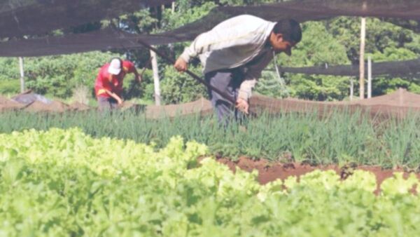 Hay 4.070 puestos laborales en todo el país para el censo agropecuario