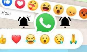 Cómo desactivar las reacciones de tus conversaciones de WhatsApp - OviedoPress