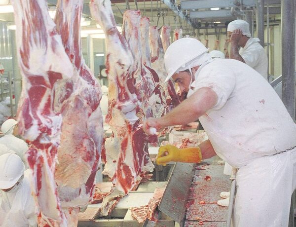 Anuncian reducción de precios en varios cortes de carnes en los frigoríficos