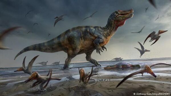 Hallan los restos fósiles de un dinosaurio que sería el mayor depredador jamás descubierto en Europa