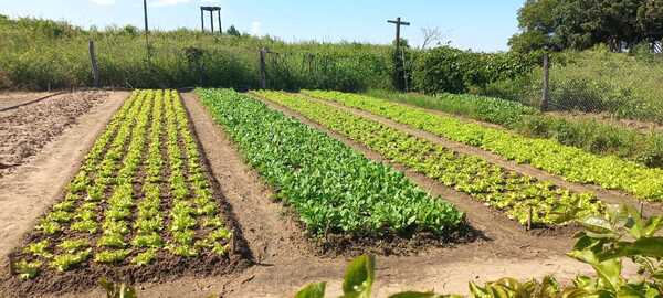 Diario HOY | Productores chaqueños expondrán sus productos en la Feria Pantanal