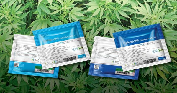 En Uruguay: Diputado presentará proyecto de ley que habilita la venta de cannabis a turistas - Megacadena — Últimas Noticias de Paraguay
