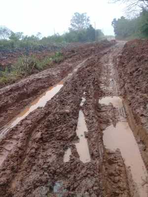 Paso Yobái: Productores de yerba, desesperados por mal estado de los caminos - ADN Digital