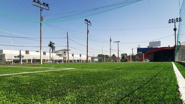 Arroz paraguayo llega a 37 destinos de exportación (85% de la producción va al exterior)