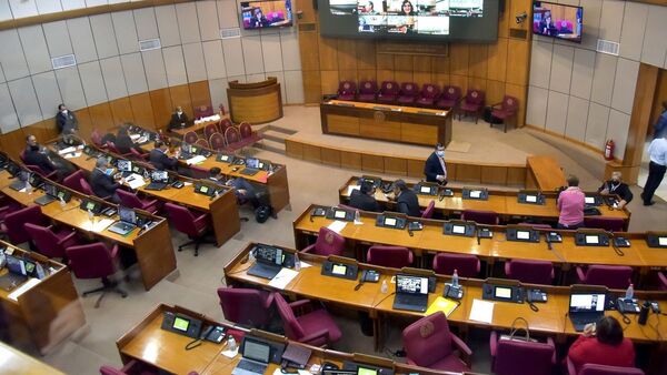 Senado denunciará lavado de dinero ante los organismos internacionales